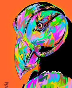 Puffin