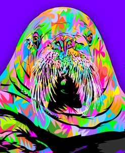 Walrus