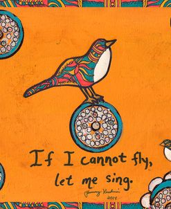 If I Cannot Fly