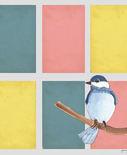 Rectangles And Blue Bird