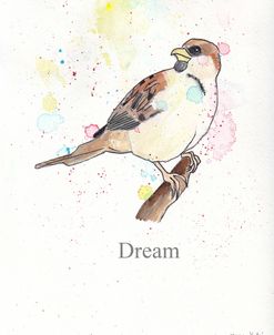 Dream