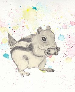 Chipmunk