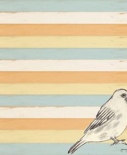 Bird Stripes
