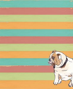 Bulldog