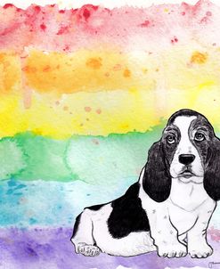 Rainbow Basset Hound