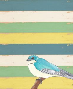 Little Blue Bird