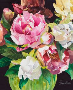 Mixed Peonies