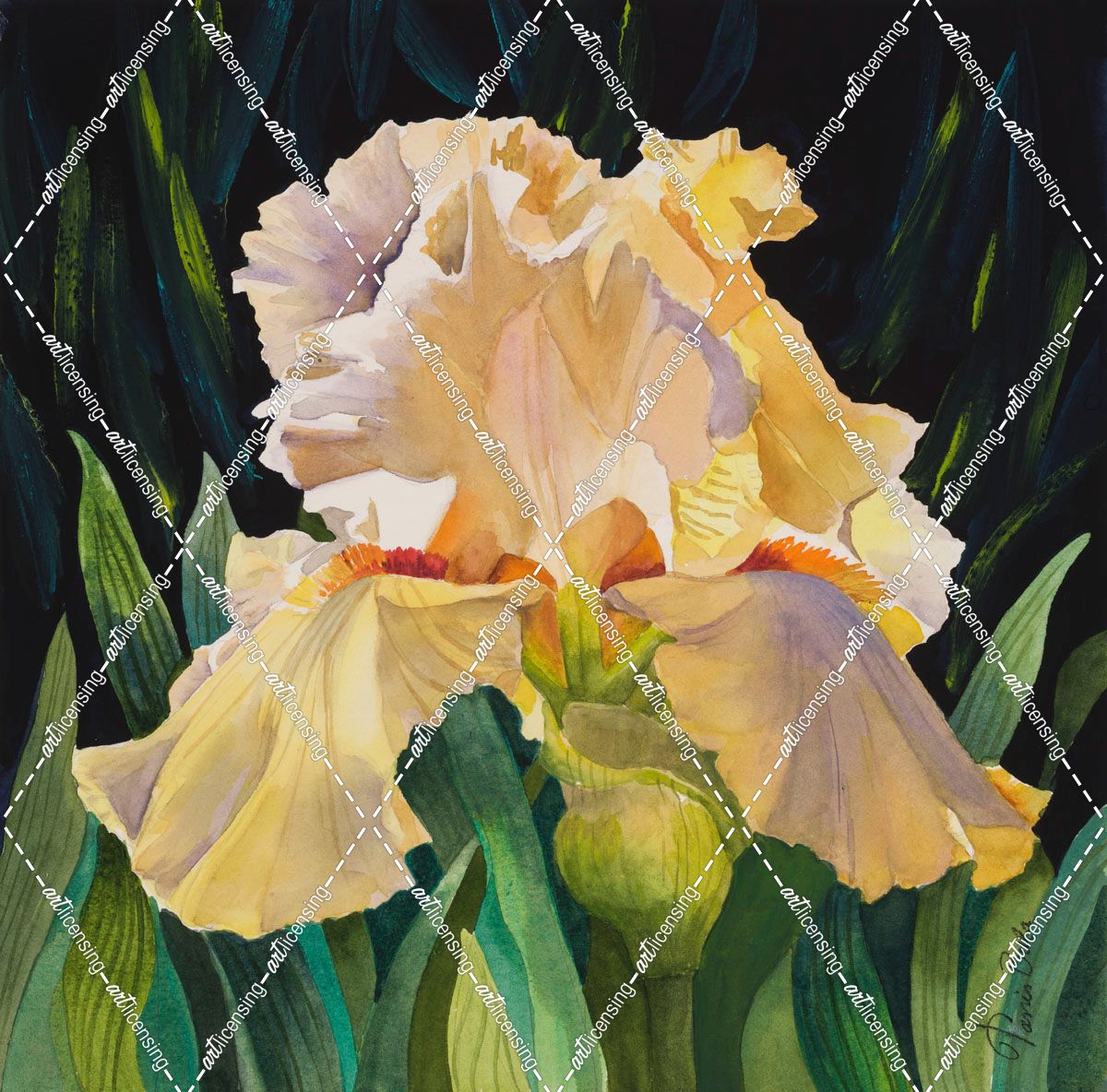 Yellow Iris