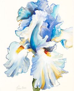 Iris in Blues