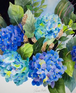 Hydrangeas in Blue