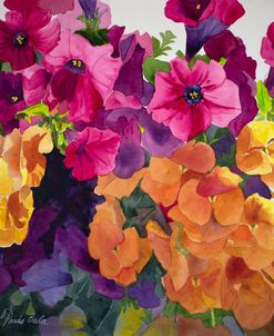 Petunias and Pansies