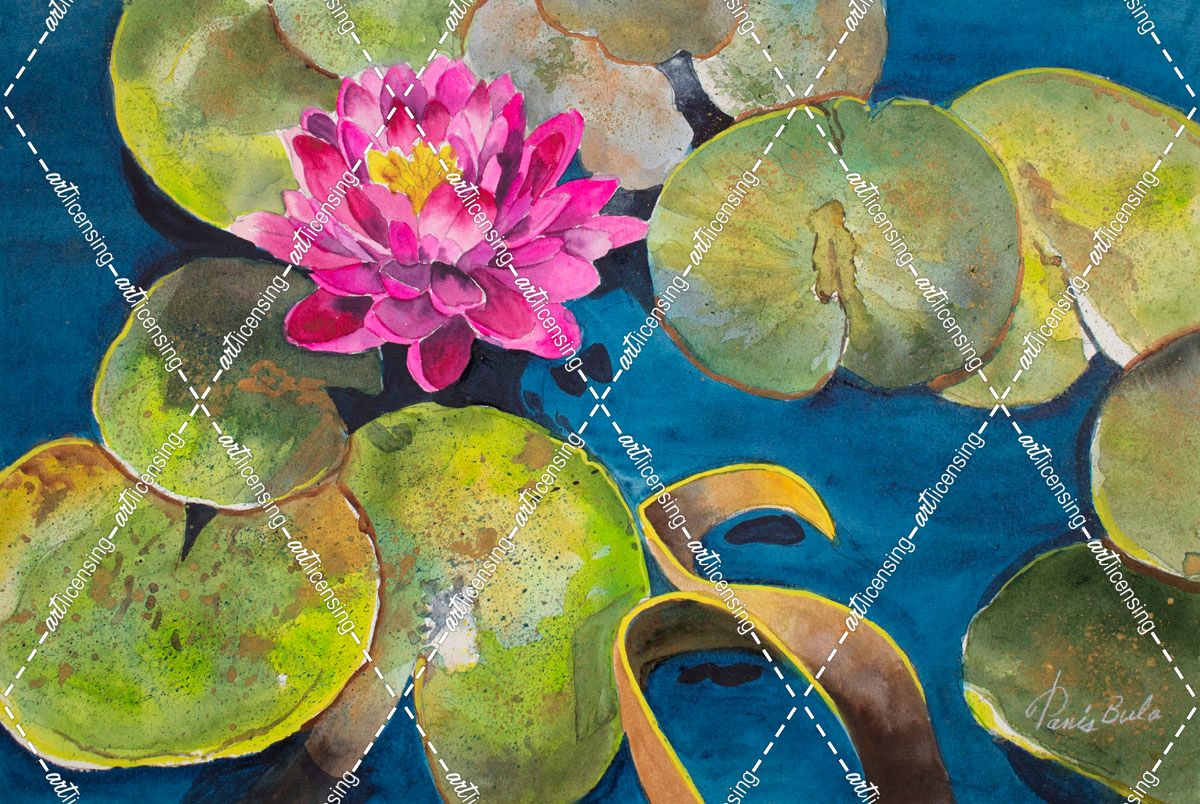 20-52 Water Lily