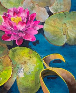 20-52 Water Lily