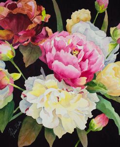 21-03 Mixed Peonies