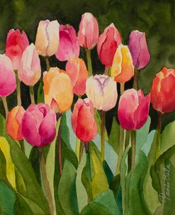 21-09 Tulips