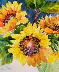 21-20 Sunflowers II