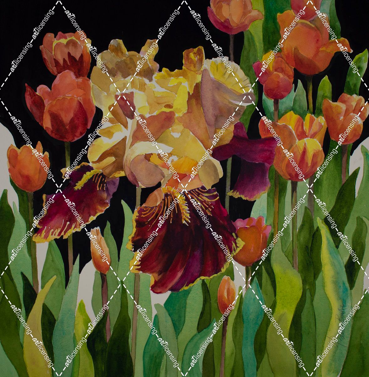 Iris and Tulips