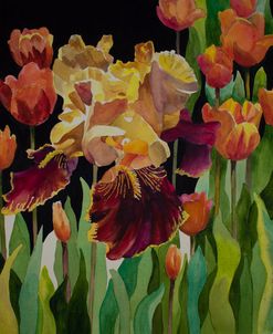 Iris and Tulips