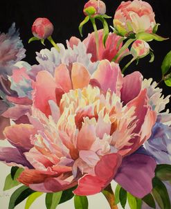 Pink Peony