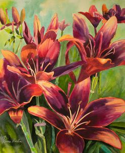 Red Purple Lilies