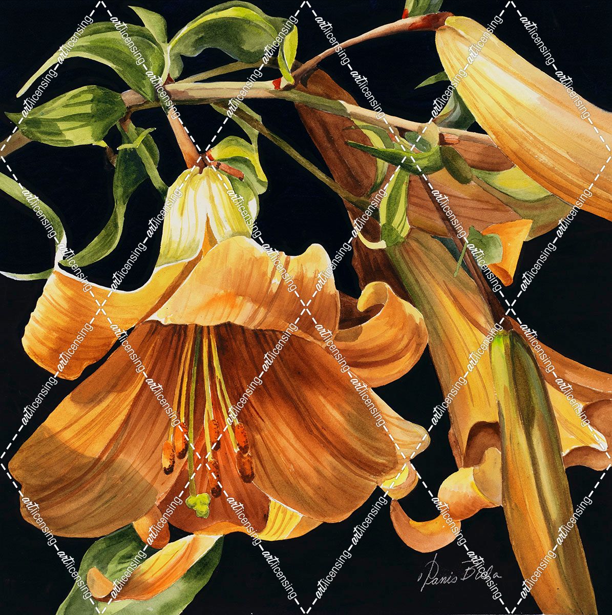 22-20 Yellow Trumpet Flower