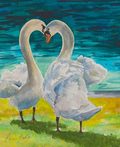 22-24 Swan Courtship