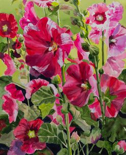 23-01 Hollyhocks