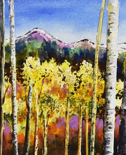 24-13 Aspen in Mountains