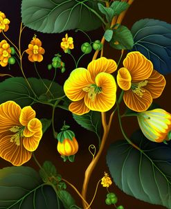 Abutilon Yellow Floral