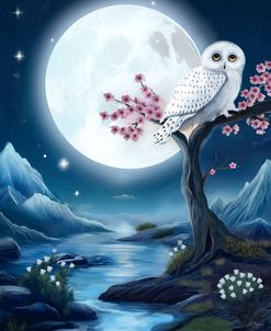 By the Moonlight