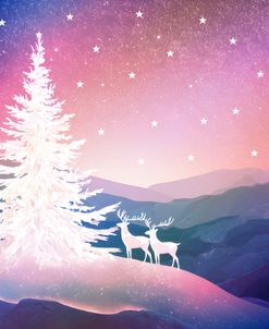 Brilliance of the Christmas Tree