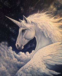 Pegasus in the Night Sky