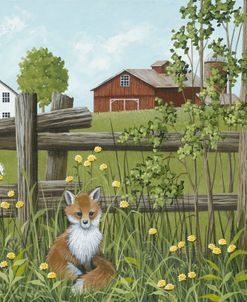 Fox in the Meadow