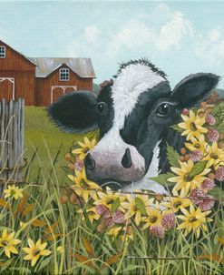 Cow in Field of Yellow Flowers