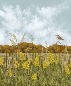 Field of Goldenrod