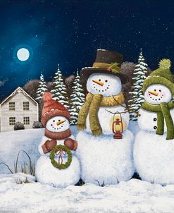 Winter Nightwatch