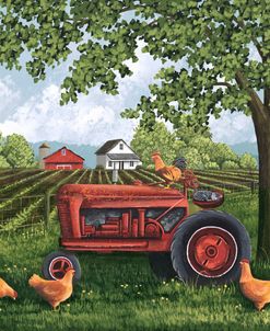 Afternoon Nap on the Tractor