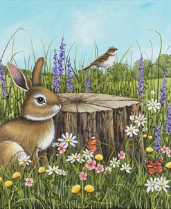 The Old Gathering Stump