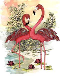 Flamingo Dance