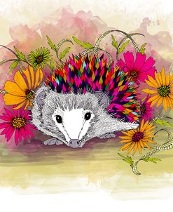 Rainbow Hedgie