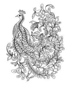 Fancy Peacock