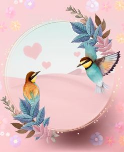 Hummingbird Love