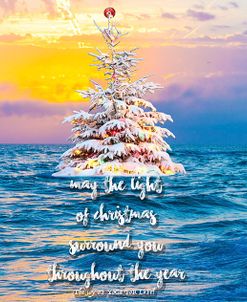May The Light Of Christmas Surround You