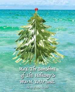 May The Sunshine Of The Holiday’s Warm Your Soul