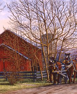 Amish Wagon Ride