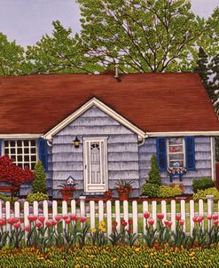 Picket Fence And Tulips