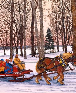 Winter Sleighride