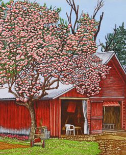 Country Barn