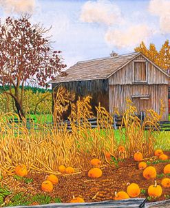 Pumpkins And Cornstalks