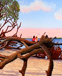 Driftwood Dreamers, Jekyll Island, Ga